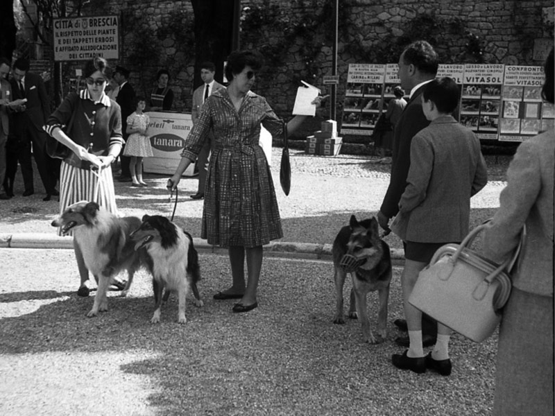spettatori bresciani zoo castello di brescia