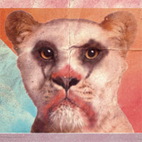 logo leone brescia selvaggia sito internet del film