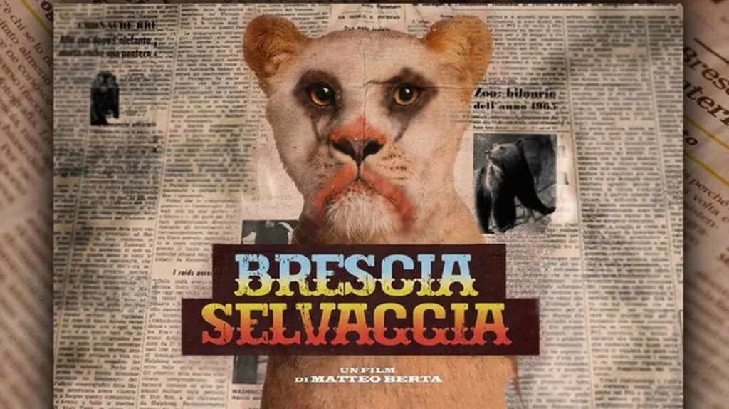 radio bresciasette articolo brescia selvaggia